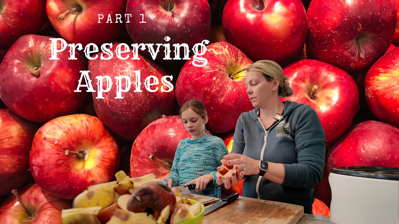 APPLESAUCE (Part 1 of our Apple preserving series) | What method do the kids like best?