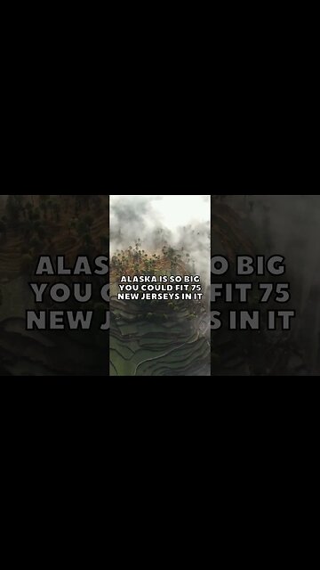 Incredible Random Facts That Will Expand Your Mind! [2023] #shorts #facts #viralshorts #fyp #life