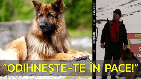 ”ODIHNEȘTE-TE ÎN PACE!”. CÂINELE SALVATOR A MURIT