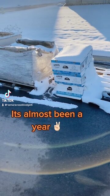 #wtf #tamararoseblodgett