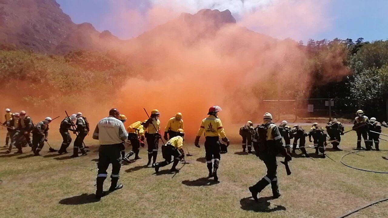 SOUTH AFRICA - Cape Town - SANParks Media Demonstration (Video) (e9B)