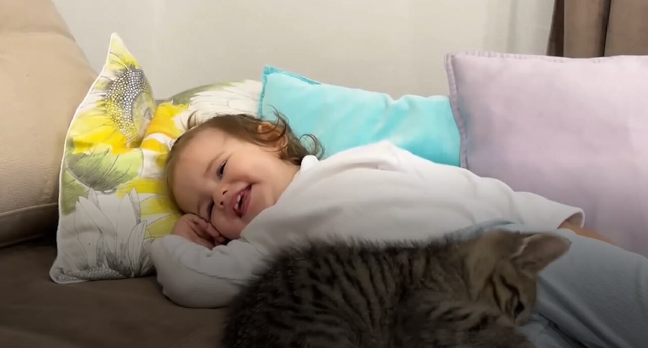 Cute Baby vs Funny Cat