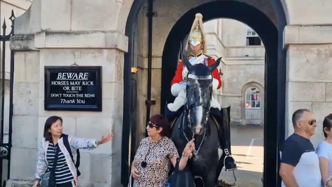 She just walks up and grabs the chain #horseguardsparade