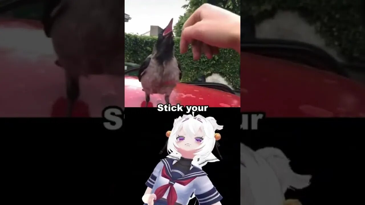 PUT YOUR FINGER IN IT | Filian | #shorts