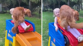 Dog joins kid for mini rollercoaster ride