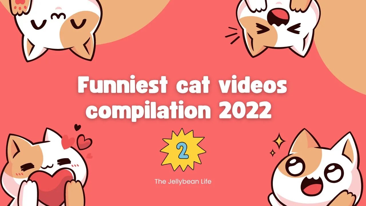 Funniest Cat Videos Compilation 2 #funnycats2022 #thejellybeanlife