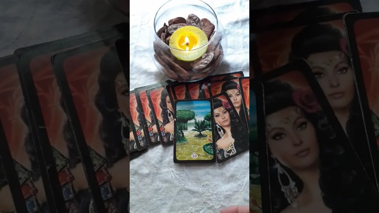 💕Uma mensagem do #tarot para seu dia! Conselho Diário!