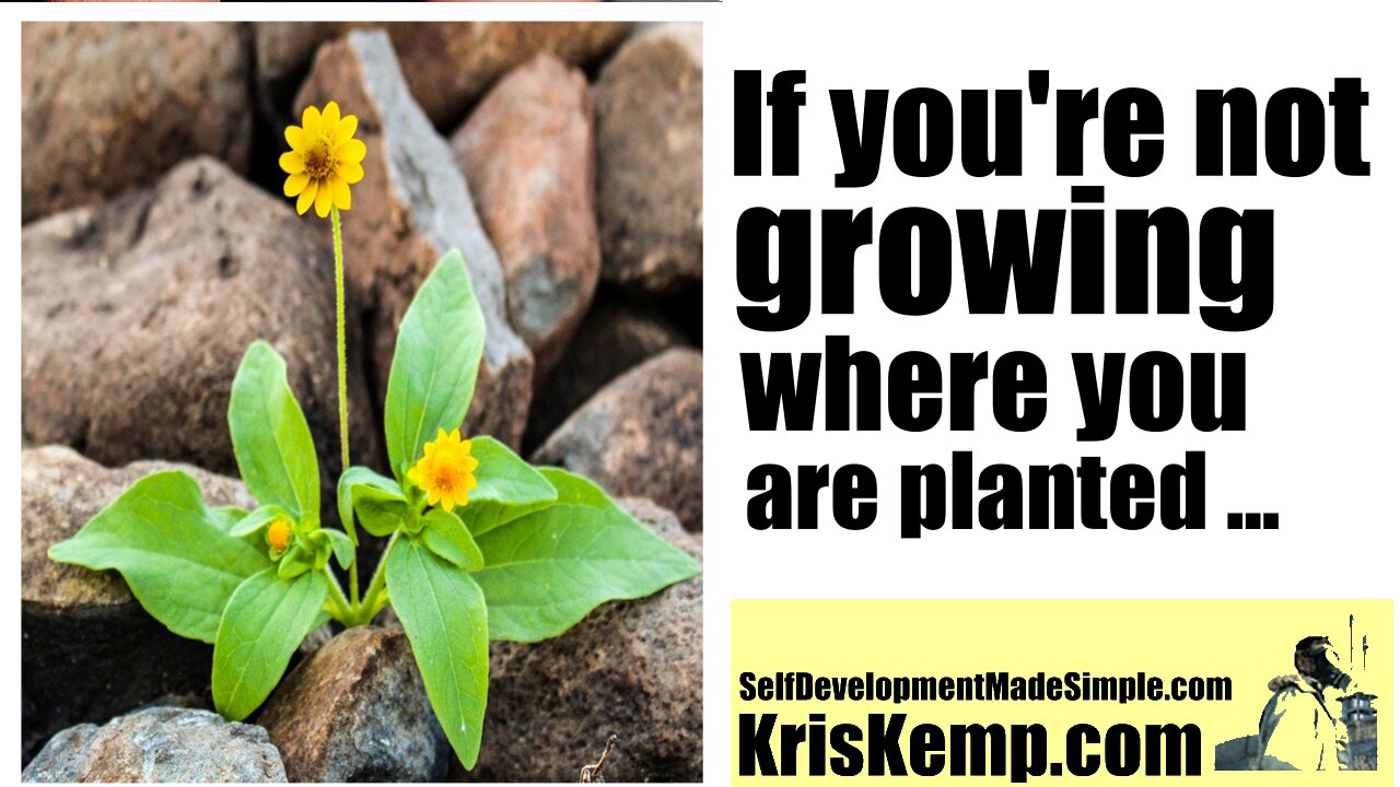 If you are not growing where you are planted ....