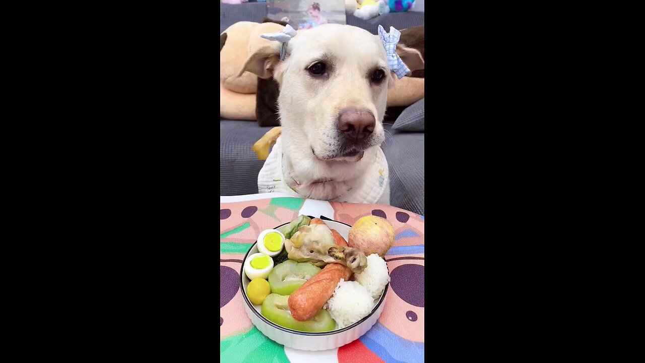 he confused to eat first item