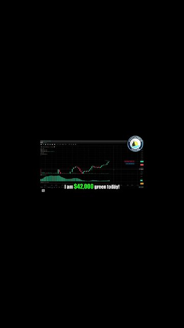 VIP Member's Journey To Insane Profit - +$42,000 Day Trading Success In The Stock Market