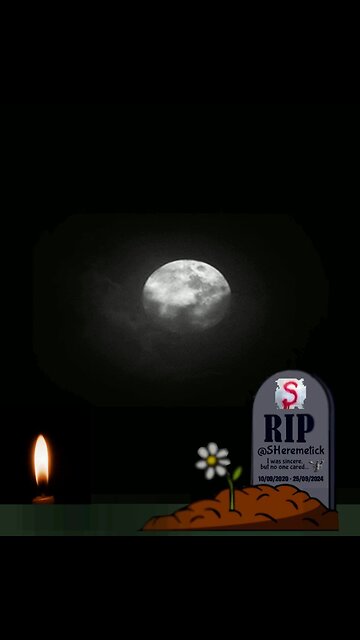 R.I.P. #SHeremetick 🕯️