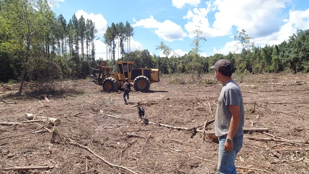 12 Yr Old Logger