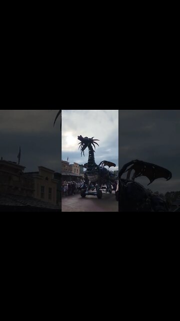 Best Float In The Parade...🔥