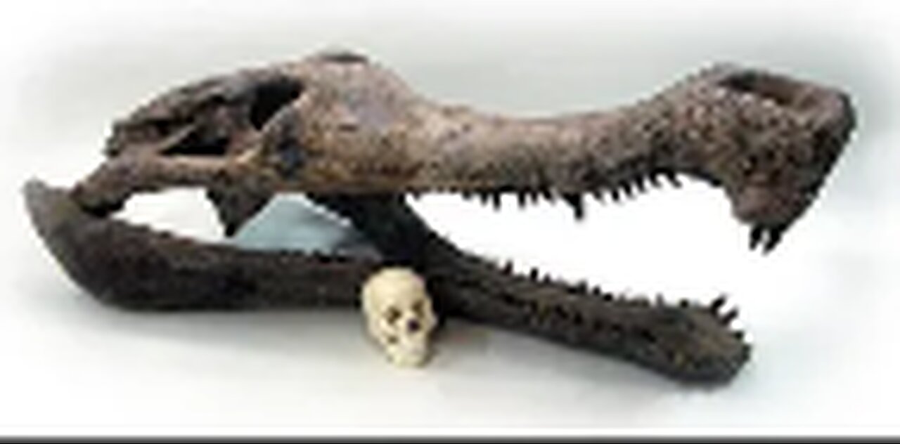 Sarcosuchus