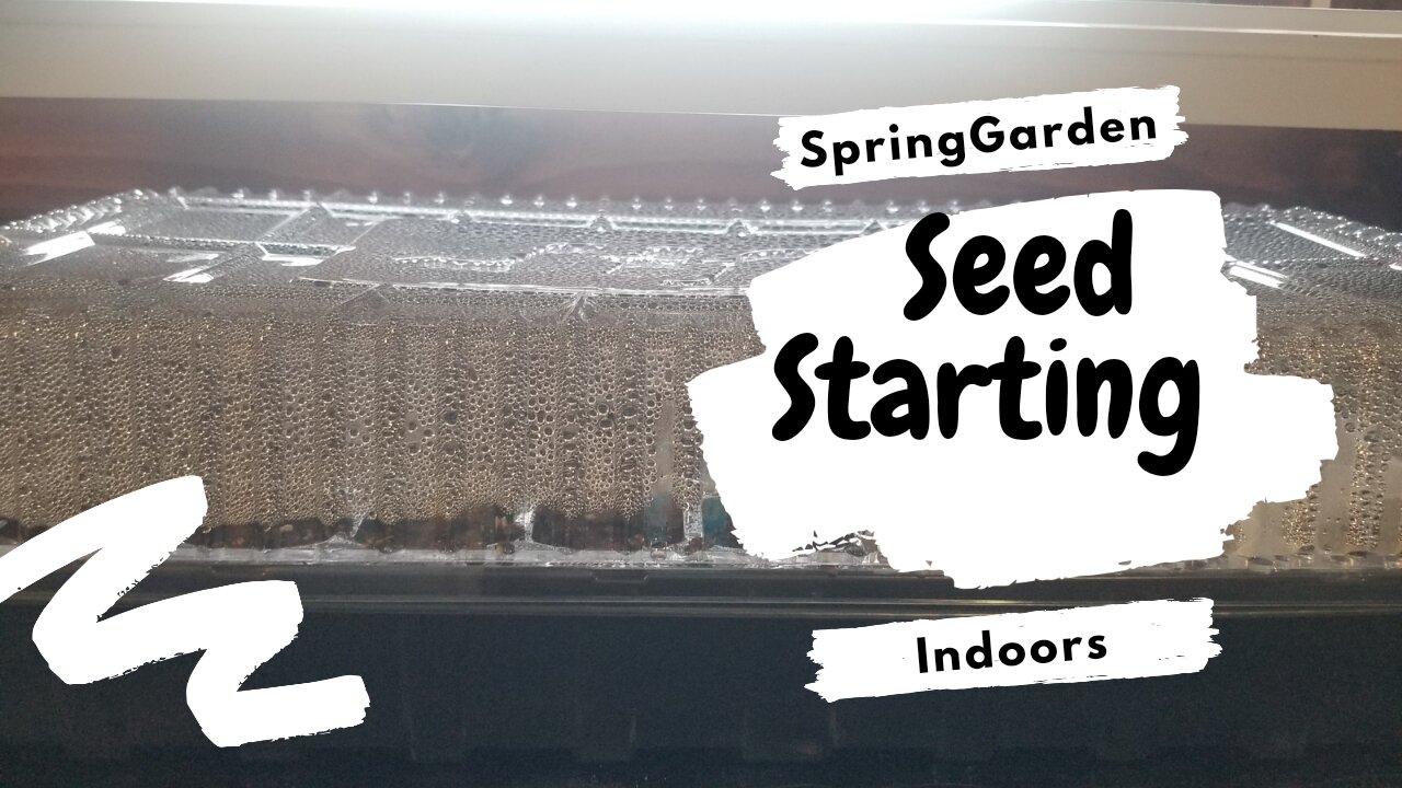 Seed Starting Set Up