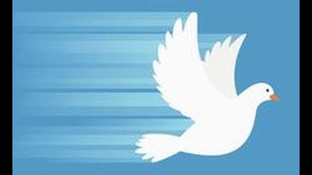 La colomba di Kant - 30 settembre 2024