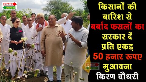 चरखी दादरी : किसानों की बर्बाद फसलों का 50 हजार रुपए मुआवजा दे सरकार : Kiran Choudhary | KK NEWS