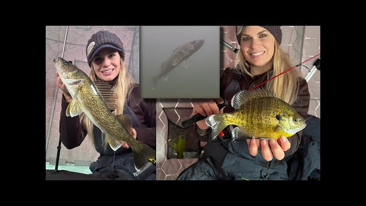 Underwater Ice Fishing Footage