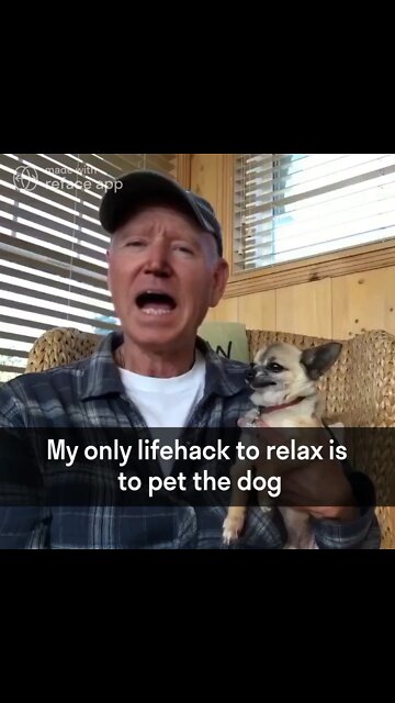 The Ultimate Joe Biden Dog Meme! 🐶