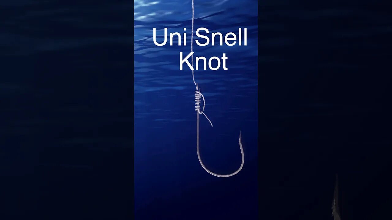 Uni Snell Knot - how to tie EASY STRONG fishing knot for live bait and more!