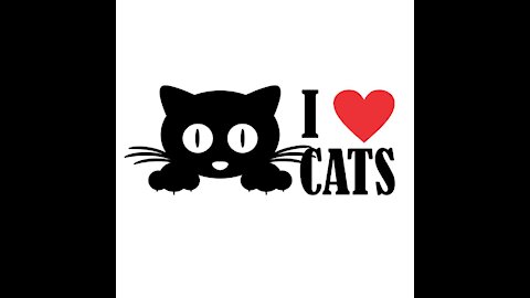 I love cats 01