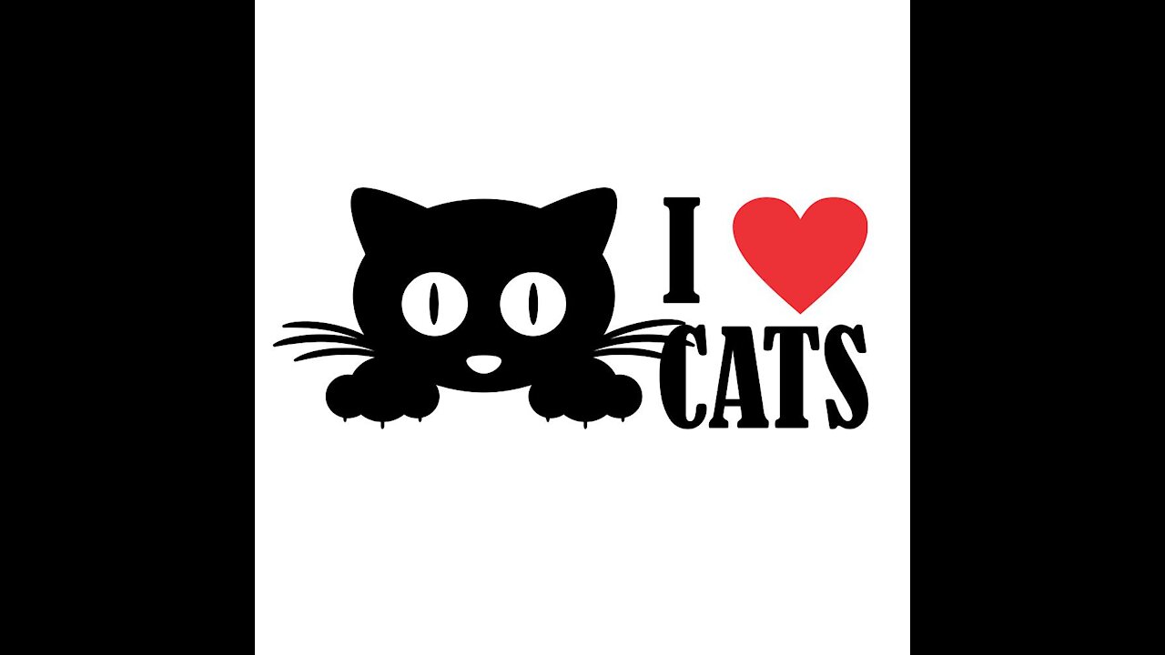 I love cats 01