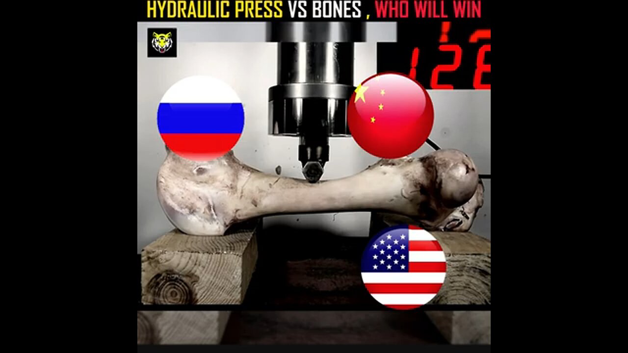 HYDRAULIC PRESS VS STRONGEST HUMAN BONES 🤯 WHO WILL WIN 💥 #shorts #usa #trend #rumble #trending