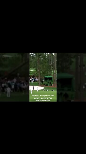 Moment a huge tree falls down on during The Masters#shorts