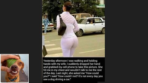 Memes That Will 99.994% Make You Laugh. (e219)