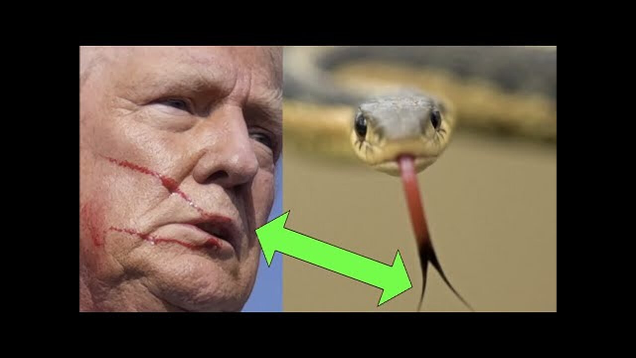 TRUMPS SERPENT TONGUE!!! "YOU KNEW I WAS A SNAKE BEFORE YOU TOOK ME IN!"