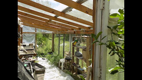 Custom Greenhouse of Sliding Glass Doors - Beautiful!