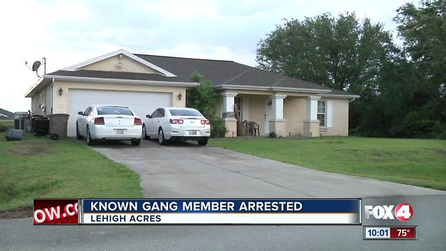 Known Gang Member Arrested in Lehigh Acres