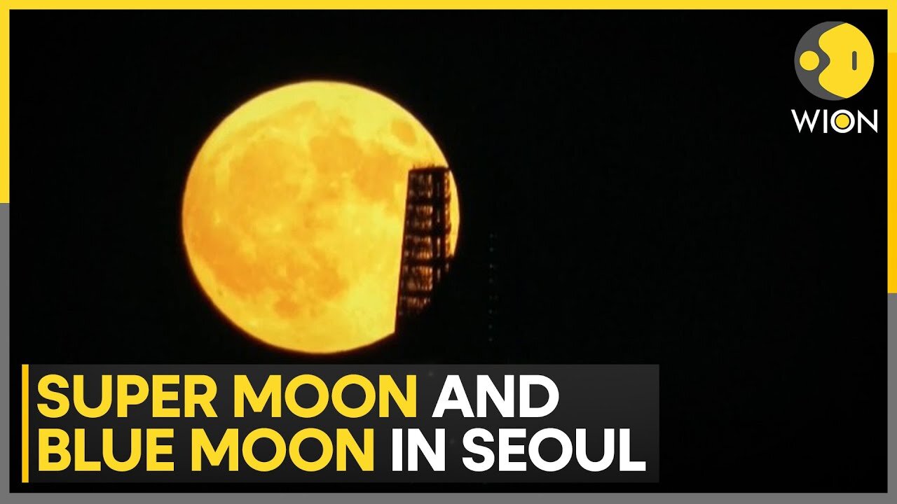 Blue supermoon rises above South Korean capital Seoul | WION