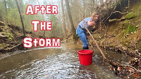 What Did They Find Exploring The Creek After A Big Rain..?