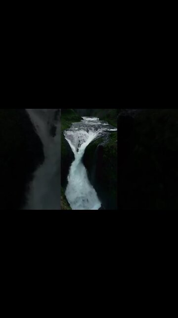 Relaxing Music, Healing Music, Meditation Music, Spa Music, Sleep, Zen, Study Music, Nature #shorts