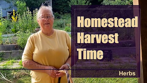 Harvesting Herbs in our Homestead Garden