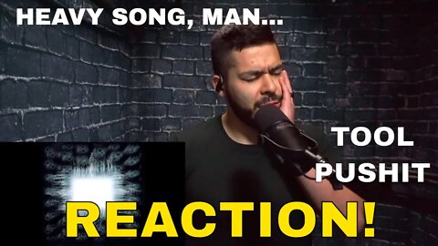 TOOL - Pushit (Reaction!)