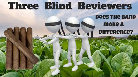 Blind 5 Cigar Review 2022 | Cigar Prop