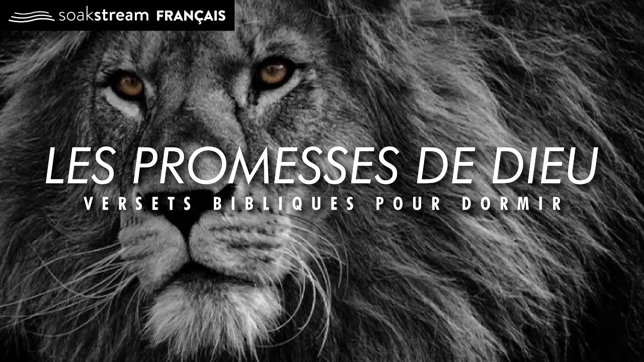 Les Promesses De Dieu | Versets Bibliques Pour Dormir