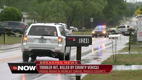 Toddler hit, killed by county vehicle after running into Pasco County roadway