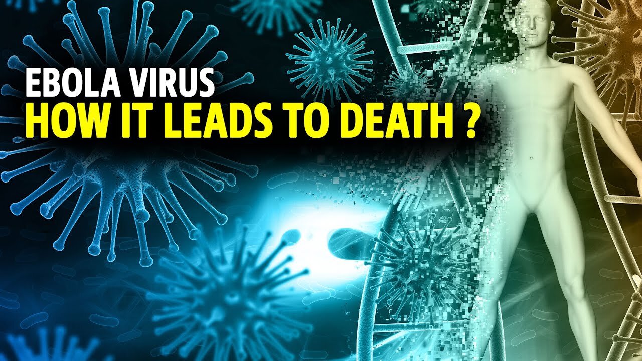 Ebola Virus, How it leads to death