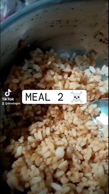 Meal 2 🗿