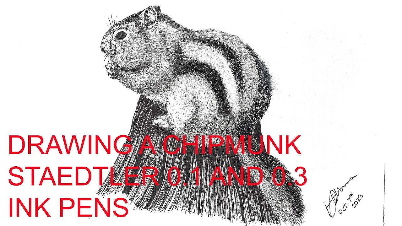 Drawing a Chipmunk with Staedtler Ink Fine liner Pens on Watercolor Paper