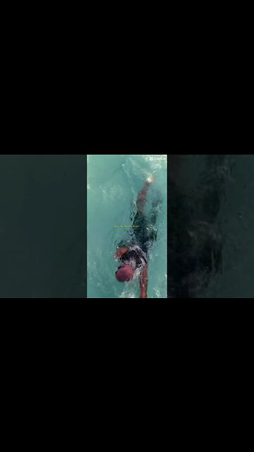 5th Overall, 2nd in my Age Group in today’s race #triathlon #athlete #fitness #shorts