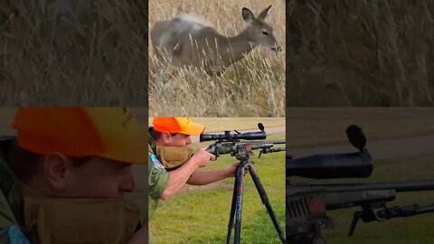 Bullet Penetrating Deer Slow-motion