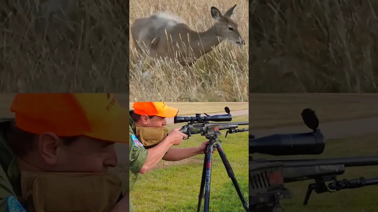 Bullet Penetrating Deer Slow-motion