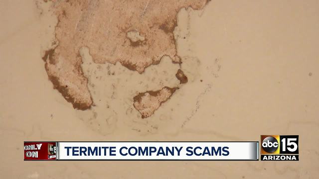 Valley experts warn of termite scam as you're buying or selling a home