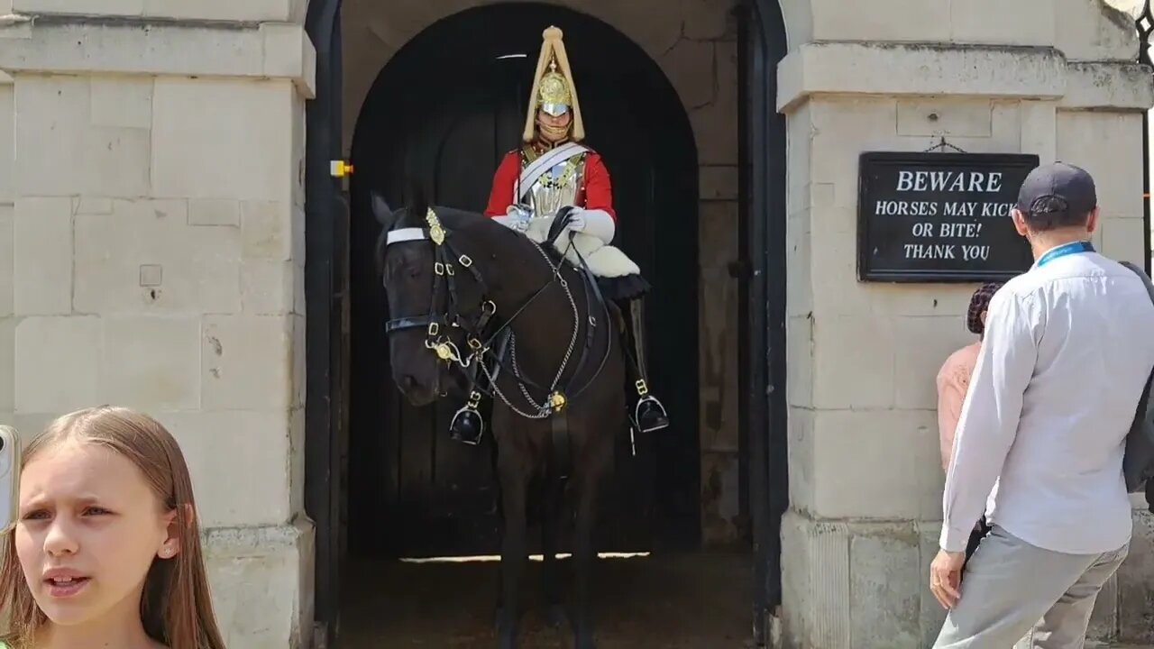 Arnie scaring tourist with his teeth 😬 😄 😁 😆 #horseguardsparade