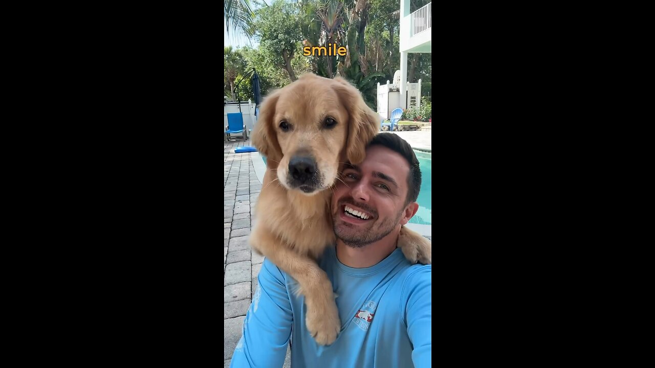 Dog Selfie 😘🥰😍 #youtubeshorts #animals #animal #funny