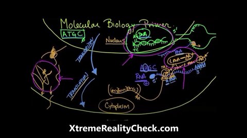 VACCINES & NEURALINK Were Created To Work Hand In Hand,, And Will Be The Complete Slavery Of HUMANITY! TOTAL DECEPTION! XtremeRealityCheck.com